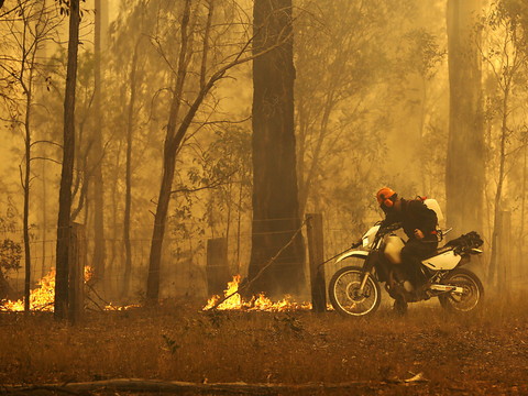 Feux: état d'urgence déclaré sur la côte est de l'Australie