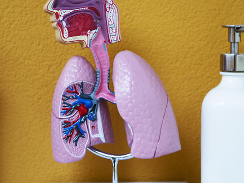 La pneumonie tue un enfant de moins de 5 ans toutes les 39 secondes