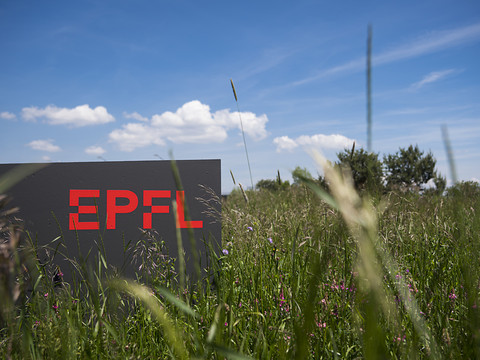 Le cours de mise à niveau de l'EPFL est conforme au droit