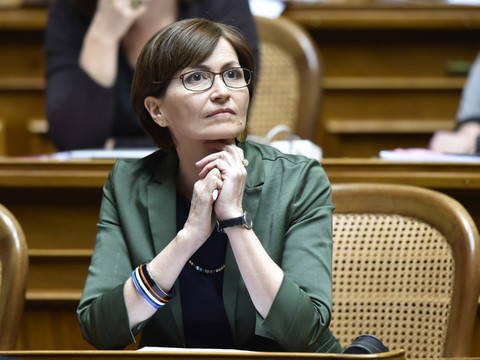 Regula Rytz obtient peu de soutien de la part des autres partis