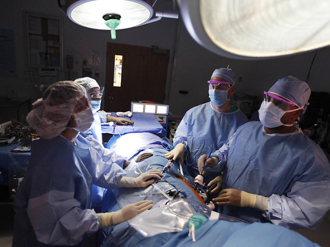 Faciliter les dons d'organes: les partis marchent sur des oeufs