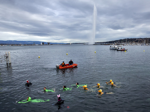 Encore davantage de nageurs à Genève pour la Coupe de Noël
