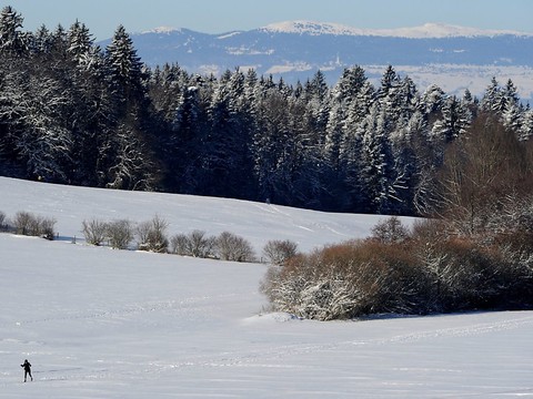 Lausanne: le parc naturel du Jorat prend forme