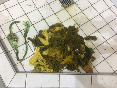 Six kilos de plastique dans l'estomac d'un cerf à Arosa (GR)