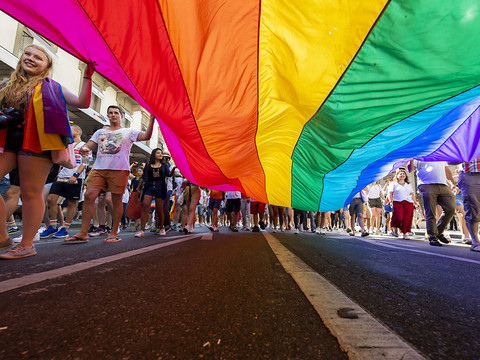 Gouvernement et Parlement contre l'homophobie