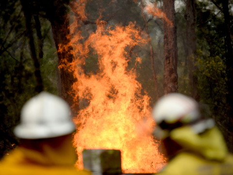 Australie: mardi, journée la plus chaude jamais mesurée (40,9°C)