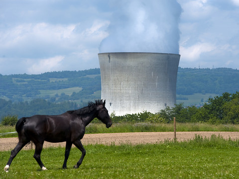 La centrale nucléaire de Leibstadt à l'arrêt