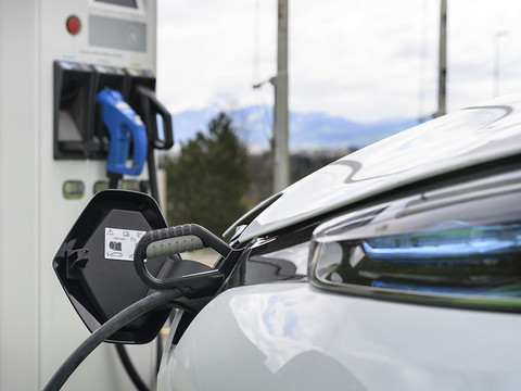 Les ventes de voitures ont progressé de 3,9% en 2019