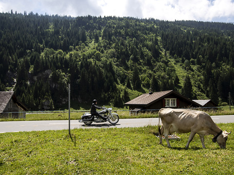 Nouveau coup de frein du marché du deux-roues en Suisse en 2019
