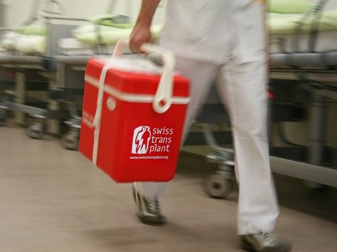 Les transplantations d'organes ont continué à augmenter en 2019