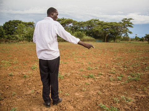 La famine menace 45 millions de personnes en Afrique australe