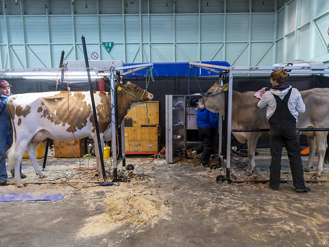 La première édition de Swiss Expo à Palexpo à Genève