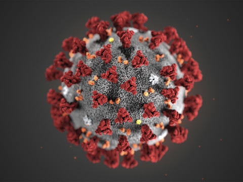 Coronavirus: plus de 250 morts, la Chine de plus en plus isolée