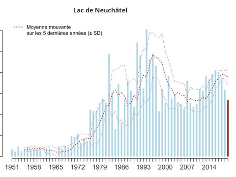 Recensement contrasté sur les lacs de Neuchâtel et Morat