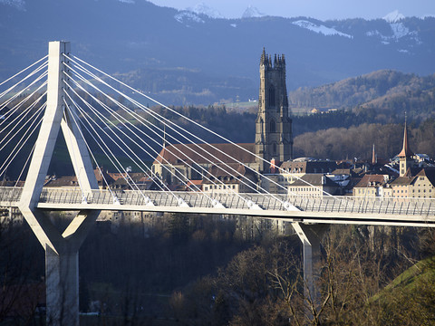 Principe d'une aide additionnelle accepté pour le Grand Fribourg