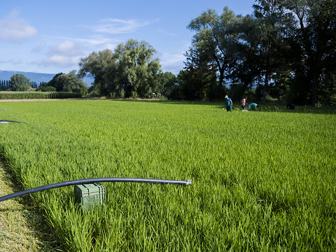Broye: l'écoulement des cours d'eau diminue jusqu'à 77% en été
