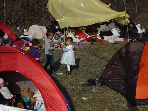 L'UE envisage d'accueillir jusqu'à 1500 migrants arrivés en Grèce