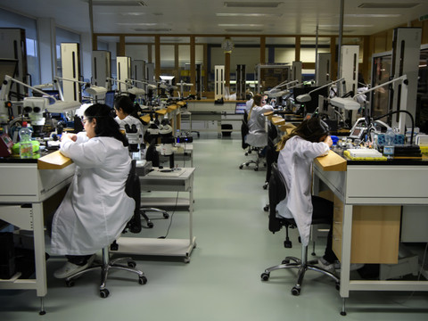 Les exportations horlogères ont chuté de 9,2% en février