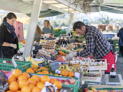 Faute de marchés, les maraîchers trouvent d'autres points de vente