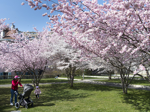 Malgré le printemps, l'une des nuits les plus froides de l'année