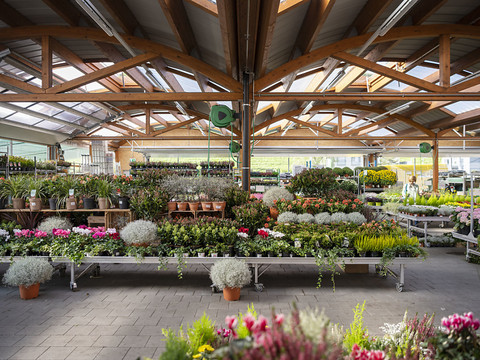 Plus de 22'000 paraphes pour vendre en magasin les plantons