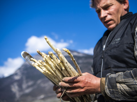 Les producteurs d'asperges valaisans plongés dans l'incertitude