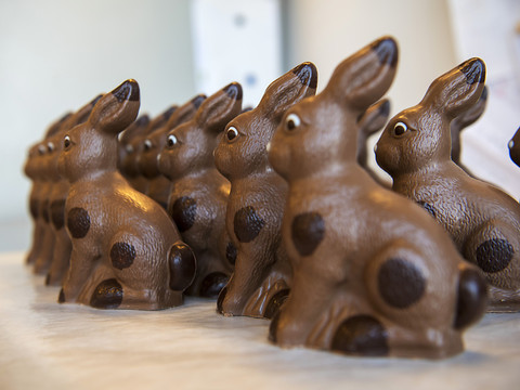 L'OFSP veut ramener le lapin de Pâques chez lui en toute sécurité