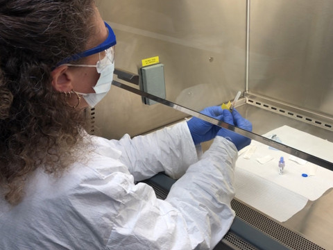 Le Covid-19, 10 fois plus mortel que le H1N1, selon l'OMS