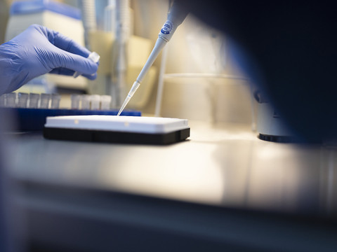 En Chine, le vaccin se fabrique déjà à grande échelle