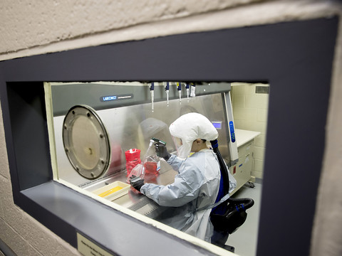 Le coronavirus pas créé par l'Homme ou modifié génétiquement