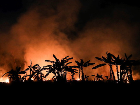 Le Brésil envoie l'armée en Amazonie contre la déforestation