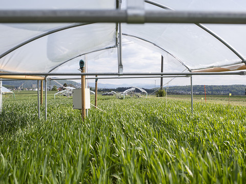Agroscope s'appuiera sur plusieurs stations d'essai décentralisées