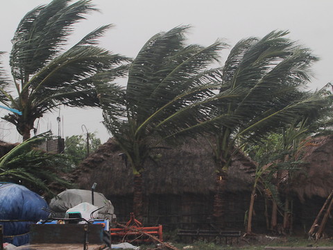 L'Inde et le Bangladesh ramassent les débris du cyclone Amphan