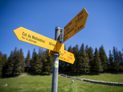 La justice rejette les recours contre le Parc éolien du Mollendruz