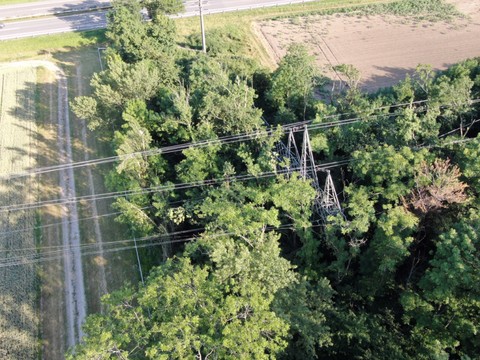 Pylône électrique saboté à Gland (VD)