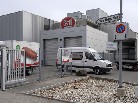 Bell poursuit son investissement dans la viande de laboratoire