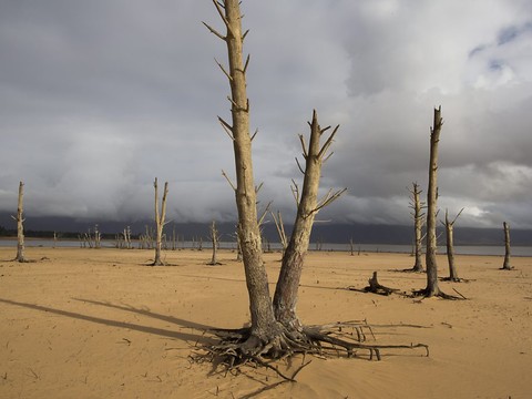 Les canicules africaines très largement ignorées (étude)