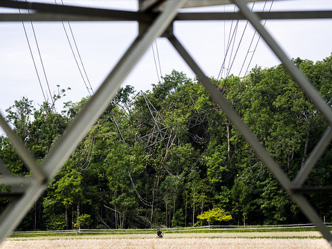 Pas de traces d'explosifs dans le sabotage du pylône à Gland