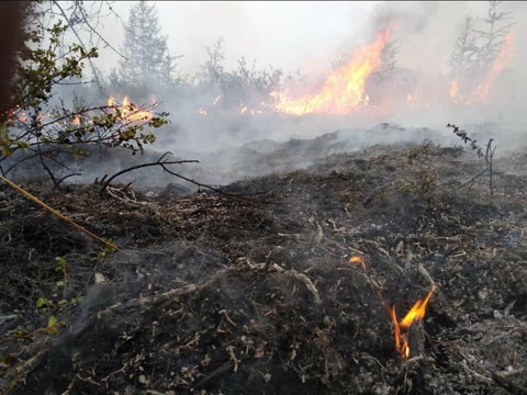 La canicule en Sibérie 