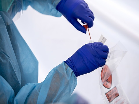 Le Covid-19 a fait plus de 600'000 décès dans le monde