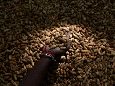 Nestlé veut racheter l'intégralité d'Aimmune Therapeutics