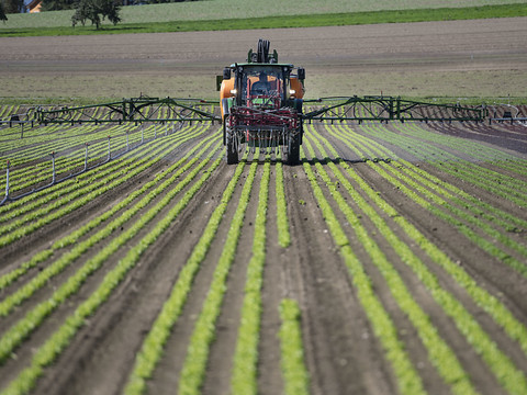 Le Conseil des Etats rejette les initiatives sur les pesticides