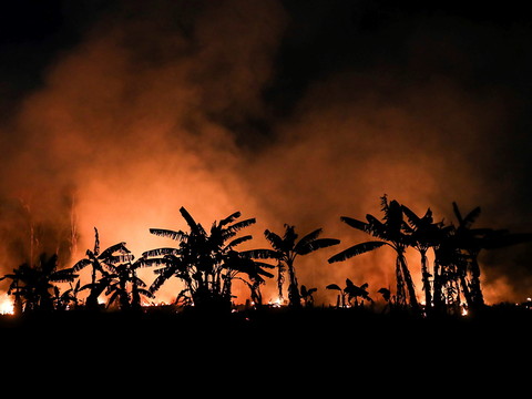 L'Amazonie et le Pantanal en flammes - Bolsonaro sous pression