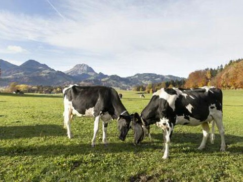 Les salaires des agriculteurs suisses ont augmenté l'an dernier