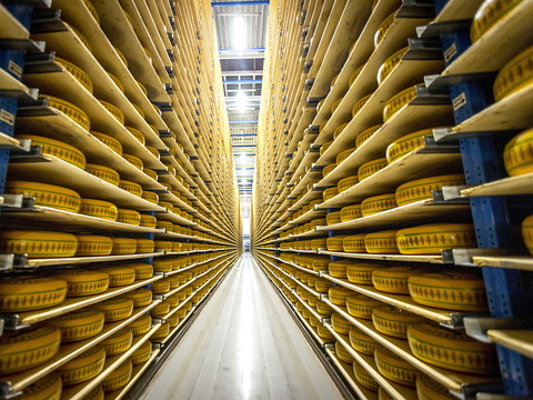 Bel, fabricant de La Vache qui rit, lance le fromage sans lait
