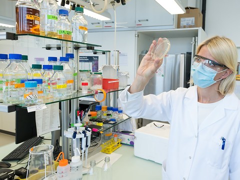 ZHAW: améliorer l'efficacité des enzymes mangeurs de plastique
