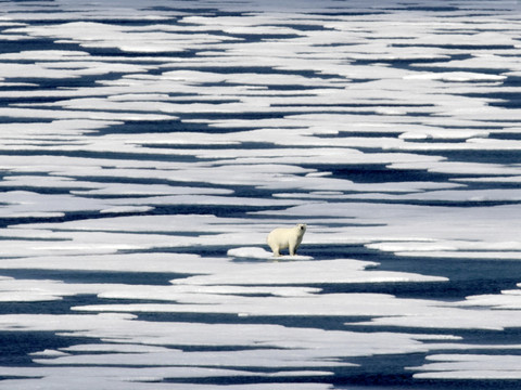 En Arctique, la banquise à son niveau le plus faible pour octobre
