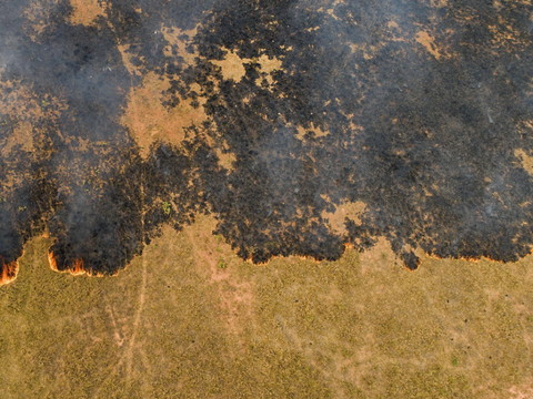 Les incendies continuent à ravager l'Amazonie et le Pantanal
