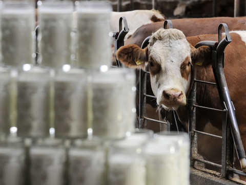 Revenu agricole moyen à la hausse l'année dernière