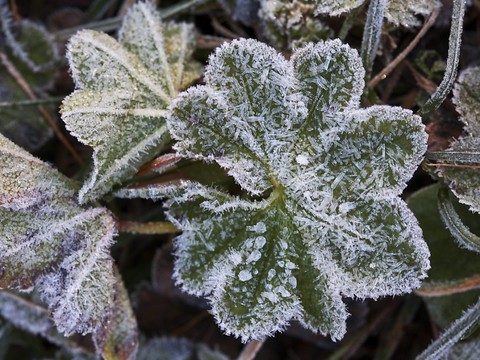 Réveil frisquet en Suisse